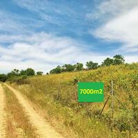 Остров в Греции, Салоники, 7000 кв.м.