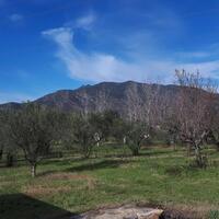 Island in Greece, Polygyros, 18250 sq.m.