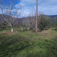 Island in Greece, Polygyros, 18250 sq.m.