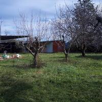 Island in Greece, Polygyros, 18250 sq.m.