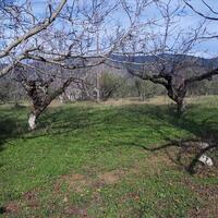 Island in Greece, Polygyros, 18250 sq.m.