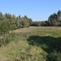 Island in Greece, Thessaloniki, 3000 sq.m.