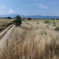 Island in Greece, Thessaloniki, 9500 sq.m.
