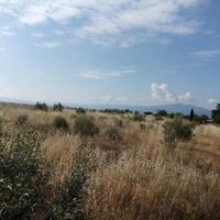 Island in Greece, Thessaloniki, 9500 sq.m.