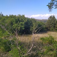 Остров в Греции, Салоники, 12000 кв.м.