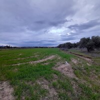 Island in Greece, Thessaloniki, 4312 sq.m.