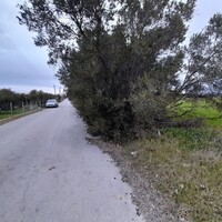 Island in Greece, Thessaloniki, 4312 sq.m.