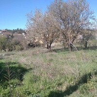 Остров в Греции, Салоники, 2500 кв.м.