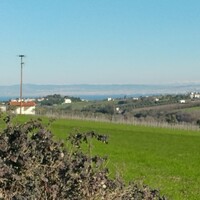 Island in Greece, Thessaloniki, 5800 sq.m.