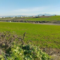 Island in Greece, Thessaloniki, 5800 sq.m.