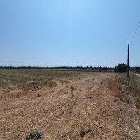 Island in Greece, Thessaloniki, 11100 sq.m.