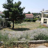 Island in Greece, Thessaloniki, 750 sq.m.