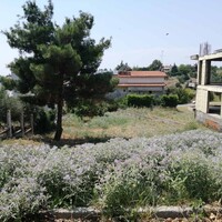 Island in Greece, Thessaloniki, 750 sq.m.