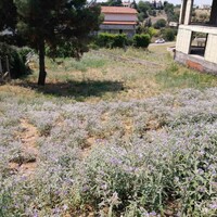 Island in Greece, Thessaloniki, 750 sq.m.
