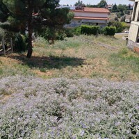 Island in Greece, Thessaloniki, 750 sq.m.