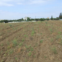 Island in Greece, Thessaloniki, 4200 sq.m.