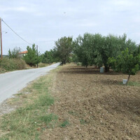Island in Greece, Thessaloniki, 4200 sq.m.