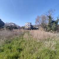 Island in Greece, Thessaloniki, 2200 sq.m.