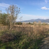 Island in Greece, Thessaloniki, 14000 sq.m.