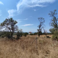 Остров в Греции, Салоники, 4800 кв.м.