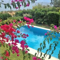 Villa in Greece, Malesina, 493 sq.m.