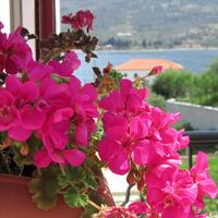 Villa in Greece, Panormos, 595 sq.m.