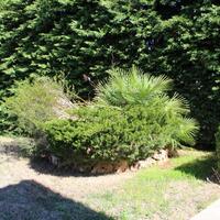 Villa in Greece, 580 sq.m.