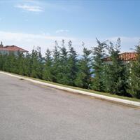 Villa in Greece, Malesina, 300 sq.m.
