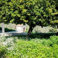 Villa in Greece, 250 sq.m.