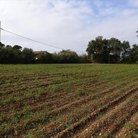 Остров в Греции, Эпир, Preveza, 5622 кв.м.