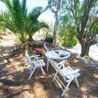 Island in Greece, 20000 sq.m.