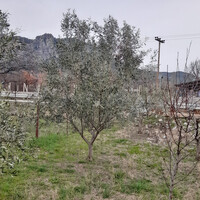 Остров в Греции, Фессалия, Kalampaka, 180 кв.м.