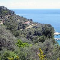 Island in Greece, Thasos, 11700 sq.m.