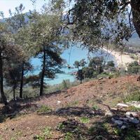 Island in Greece, Thasos, 11700 sq.m.