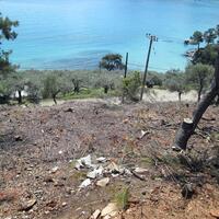 Island in Greece, Thasos, 11700 sq.m.