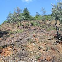 Island in Greece, Thasos, 11700 sq.m.