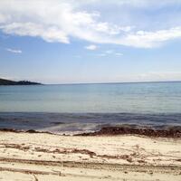 Island in Greece, Thasos, 11700 sq.m.