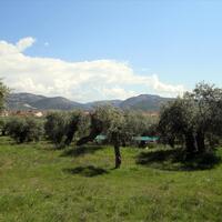 Island in Greece, Thasos, 2995 sq.m.