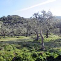 Island in Greece, Thasos, 3150 sq.m.