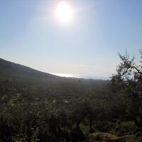 Island in Greece, Thasos, 5365 sq.m.