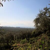 Island in Greece, Thasos, 5365 sq.m.