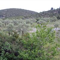 Island in Greece, Thasos, 8140 sq.m.