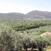 Island in Greece, Thasos, 2500 sq.m.