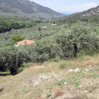 Island in Greece, Thasos, 2500 sq.m.