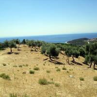 Island in Greece, Thasos, 12000 sq.m.