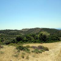 Island in Greece, Thasos, 12000 sq.m.