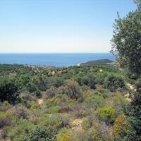 Island in Greece, Thasos, 12000 sq.m.