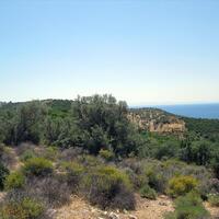 Island in Greece, Thasos, 12000 sq.m.