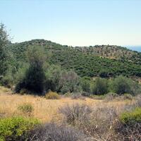 Island in Greece, Thasos, 12912 sq.m.