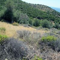 Island in Greece, Thasos, 12912 sq.m.